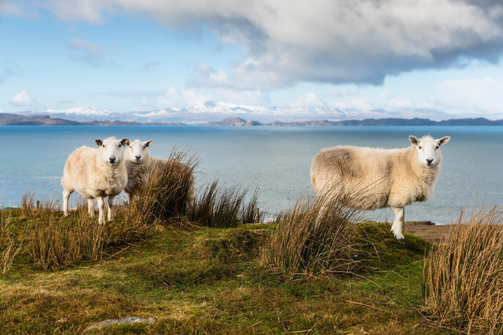 Copyright: VisitScotland / Kenny Lam